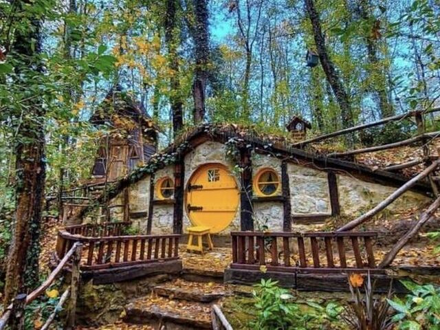 Ormanya, Maşukiye, Sapanca Turu (Günübirlik)