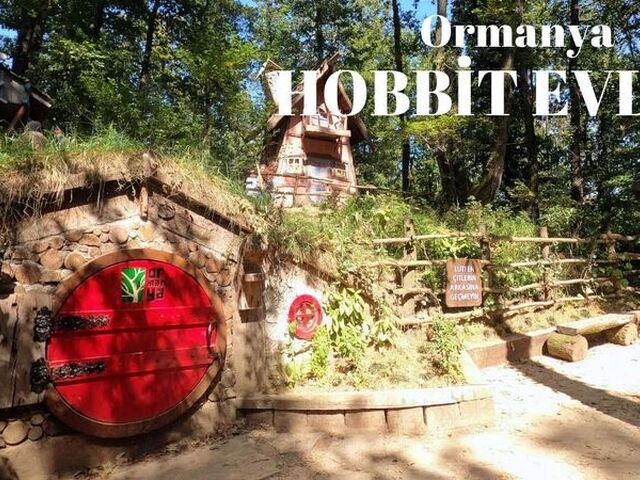 Ormanya, Maşukiye, Sapanca Turu (Günübirlik)