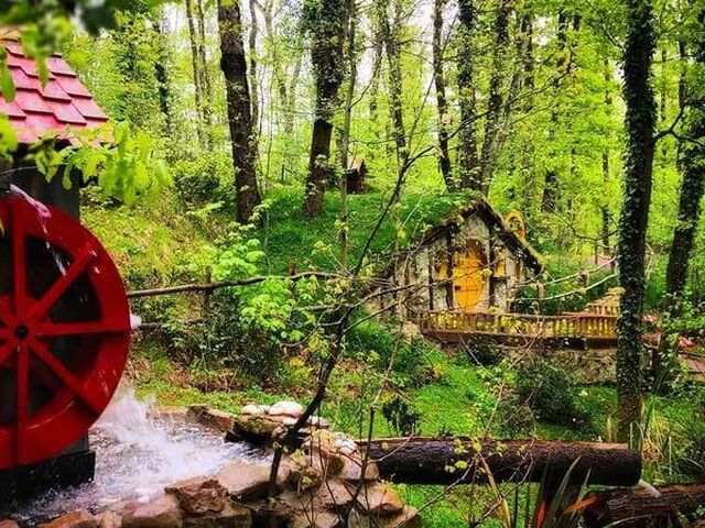 Ormanya, Maşukiye, Sapanca Turu (Günübirlik)