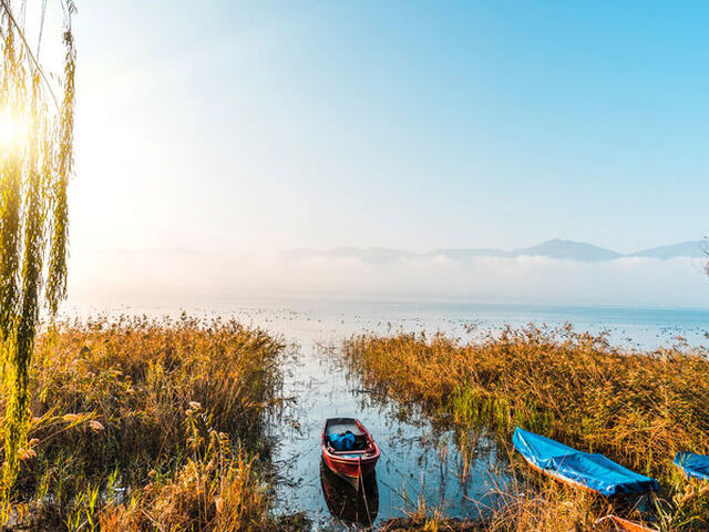 Ormanya, Maşukiye, Sapanca Turu (Günübirlik)